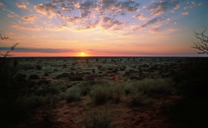 Kalahari Sunrise