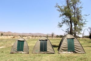 Tentco-Tents