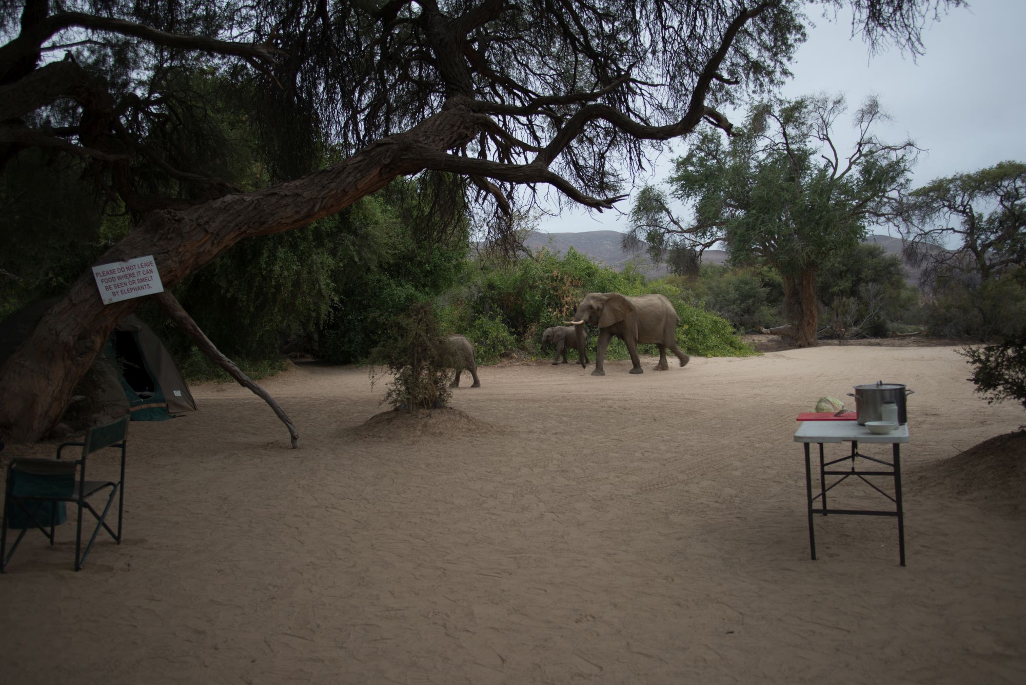 Purros Campsite with elephants